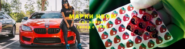 сатива Армянск