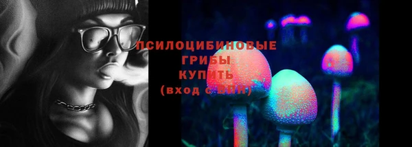 мяу мяу мука Алексин