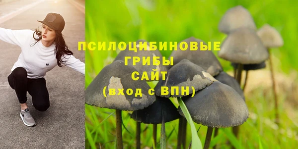 марки lsd Алексеевка
