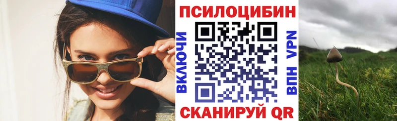 Галлюциногенные грибы GOLDEN TEACHER  kraken ССЫЛКА  Пущино  где найти  
